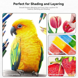 Arrtx 126 Colored Pencils Set Drawing Pencils