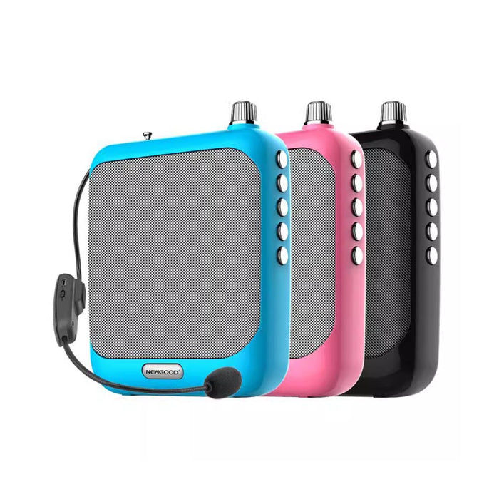 Portable Wireless Presentation Speaker Newgood S51
