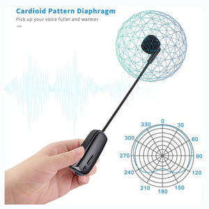 2 in 1 Handheld Wireless Microphone Professional Head-Wear Mic Volume Amplifier for Speech Teaching Radio Loudspeaker